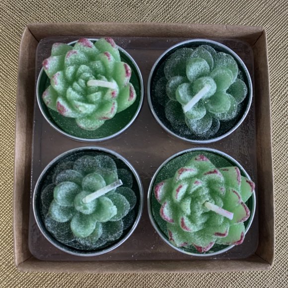 Flying Tiger - Succulent Tea Light Candles - Picture 3 of 8
